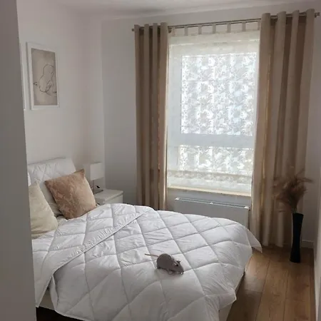 Apartment Letnica View